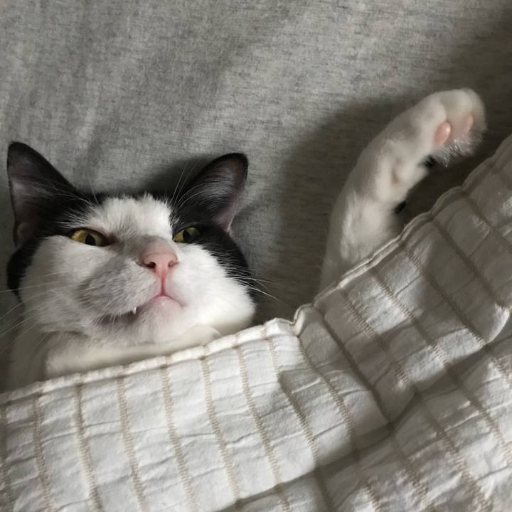 F8597d3a 5db2 4222 893f cb3b171ecc63