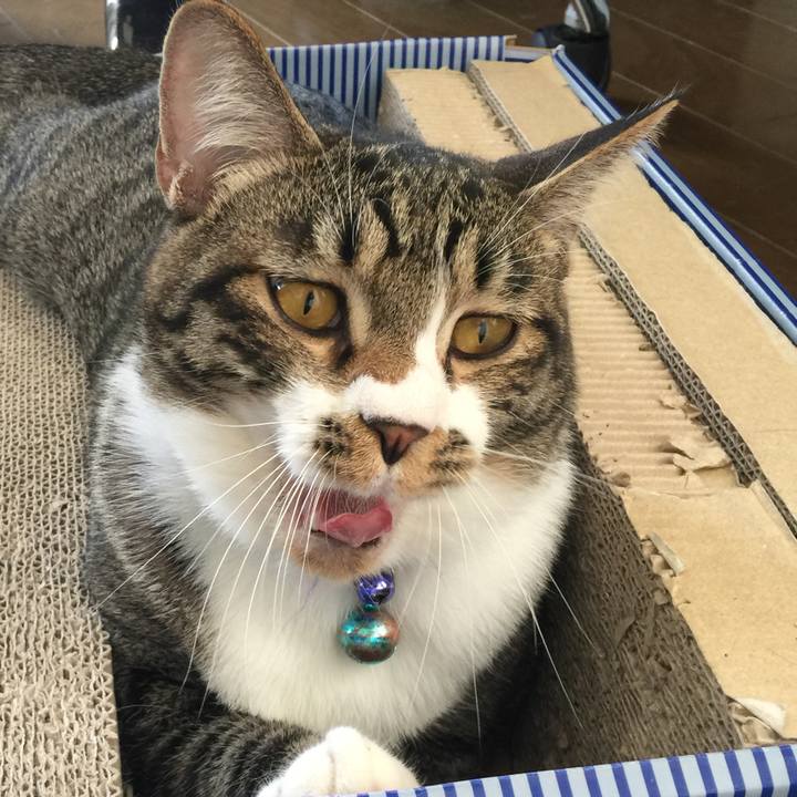 F859b900 e3a7 419e a478 aefbb4e8ab39