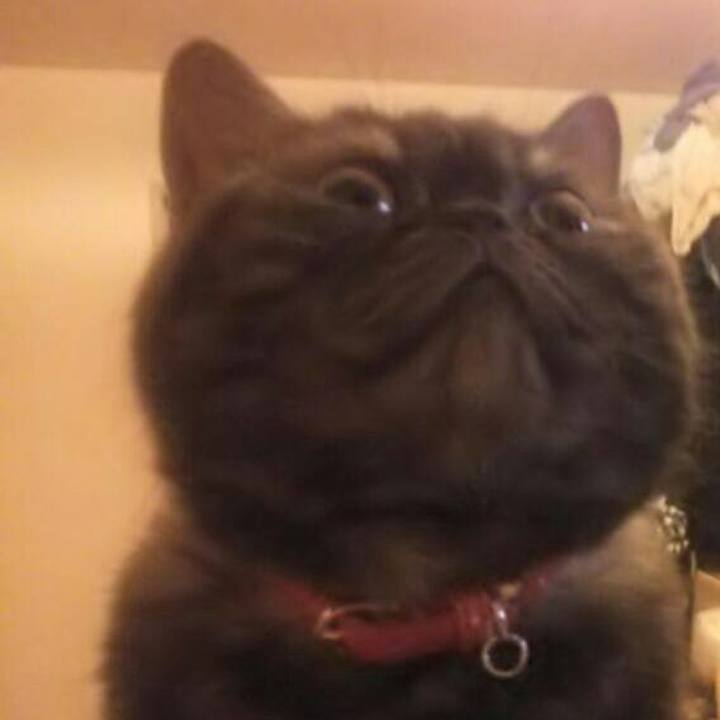 F85a0e1a d720 4f2d b1c6 730809588684