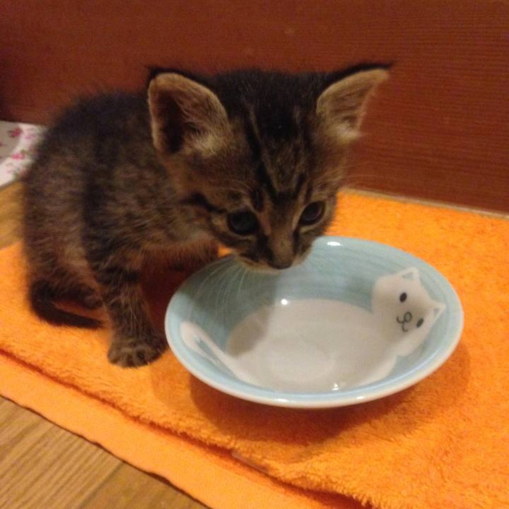 F85a2ff9 aae8 485e 9463 d60195428b72