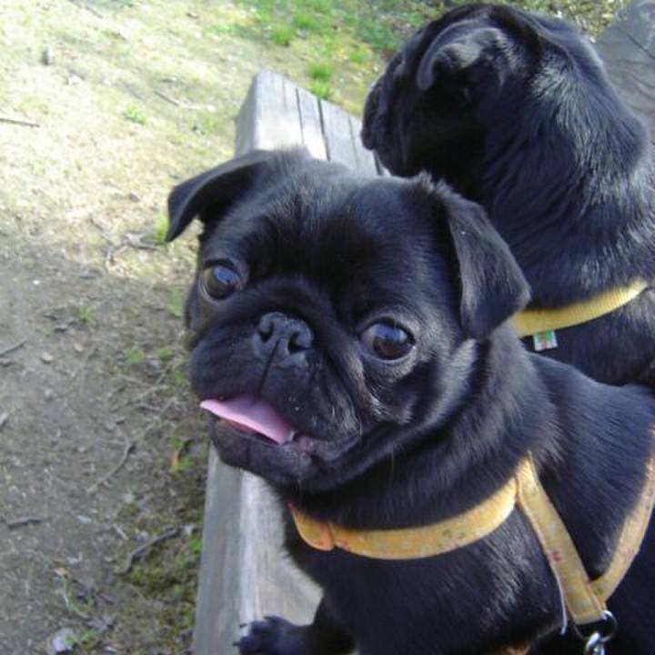 F85a8a67 a85a 49a3 8874 600cc24a664f