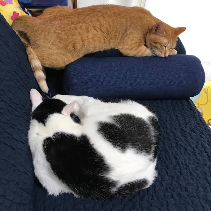 F85afdb9 afc3 4555 b54d aec217a02885