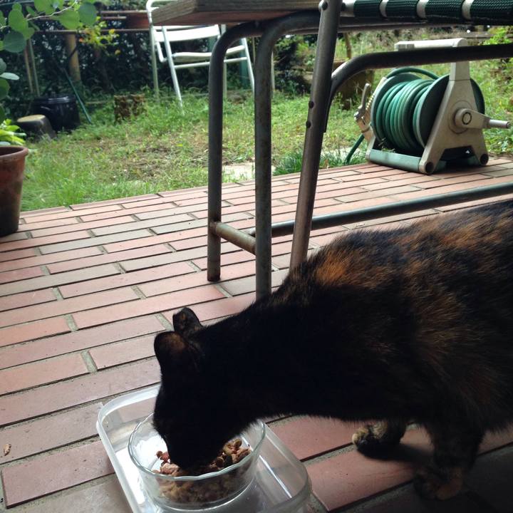 F85b1159 76a6 4c2d 8479 b97857f36b5f