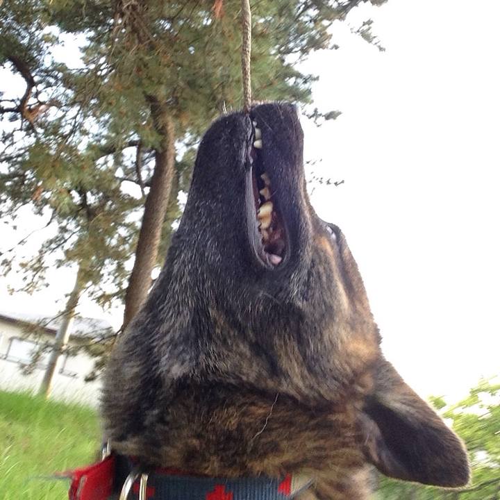 F85bea06 63ea 4a63 a1f4 345ba1a57615