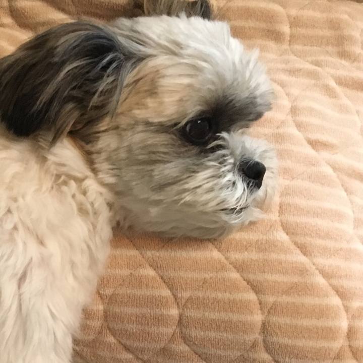 F85c2eca 5d2a 4dcc 9c33 0baf8a0debc6