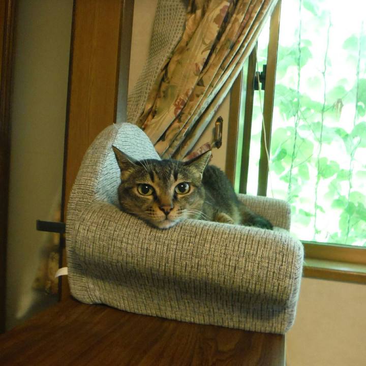 F85c4340 b106 4028 b765 a3e986a7f30f