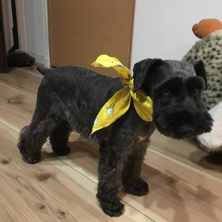 F85c5033 2073 4f5f b353 410cd666116c