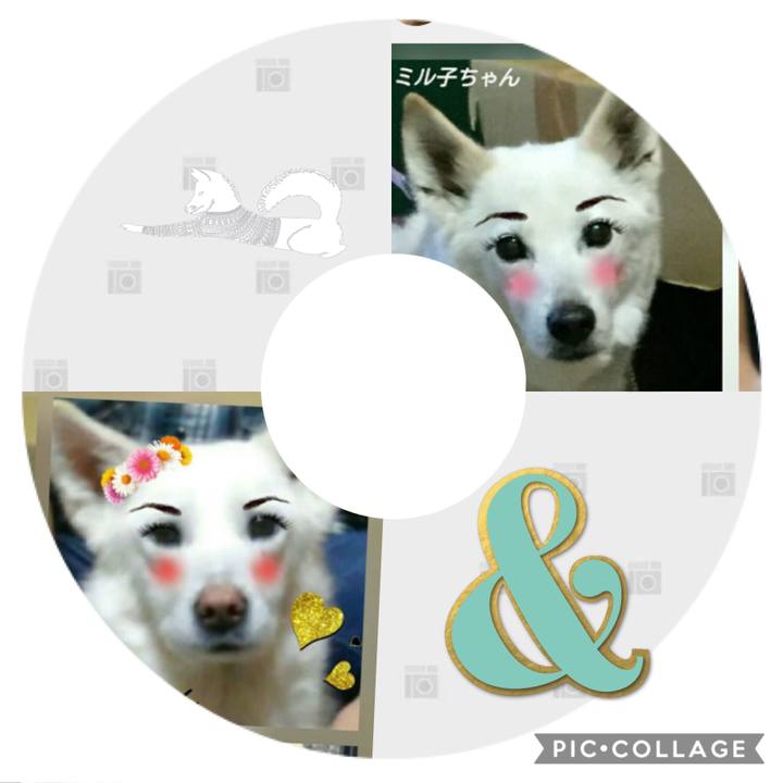 F85c5bf8 ed7b 4ca5 8751 f9fbc83aa576