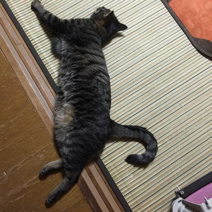 F85c743c c4d7 4679 aab2 b56f50389510