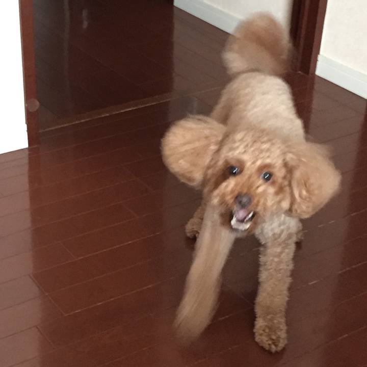 F85cd3ec 83ab 49ef af29 188100a7aae0