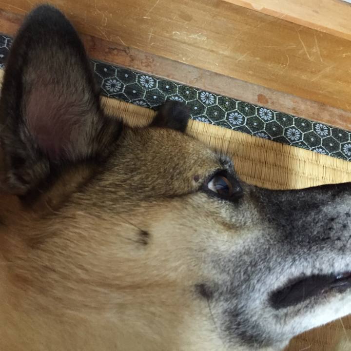 F85d191a cf59 4772 828d 917a762bb318