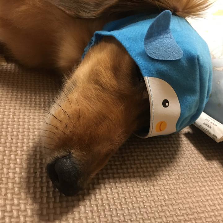 F85d7bf3 afd3 443a a220 43dbe0d01729