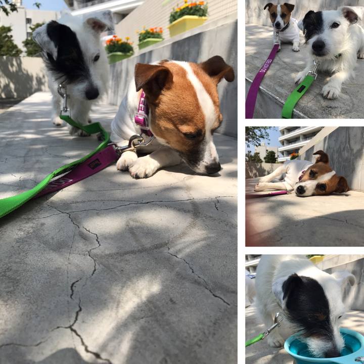 F85e4028 1b13 47a4 9dcd bbcd9efa77f0