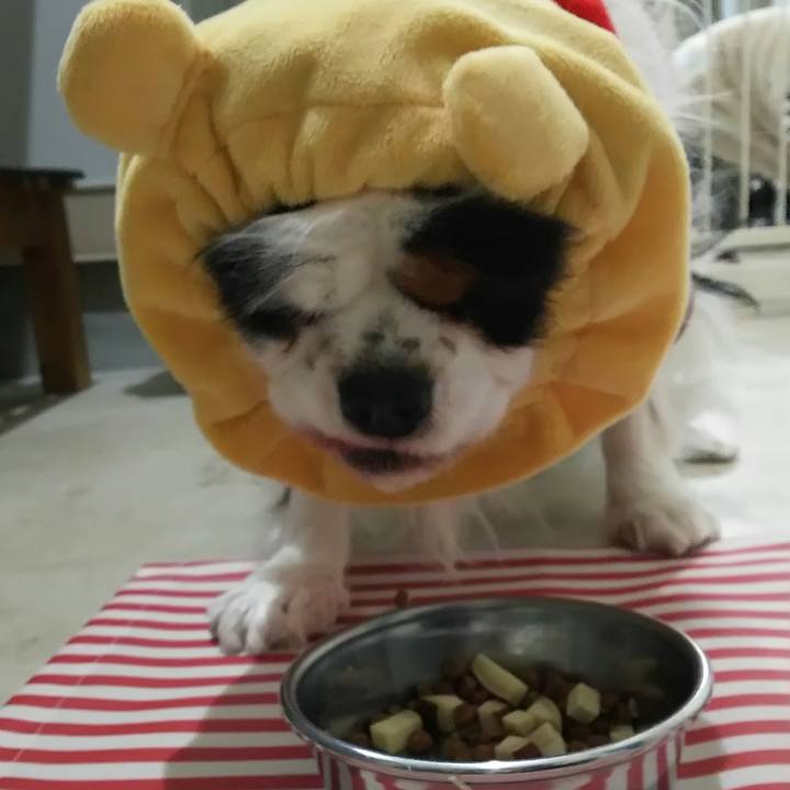 F85edad9 2141 445f bffd 130b44ec1365