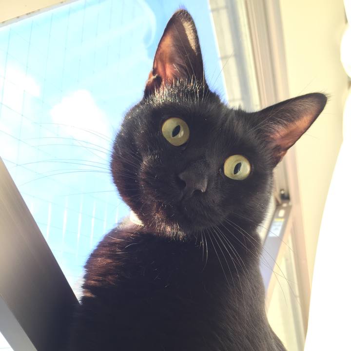 F85ee776 5d03 43cf 81d3 8055783aa005