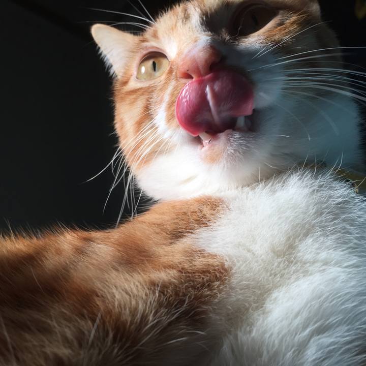 F85efe52 938e 4edd ae64 748d08767db3