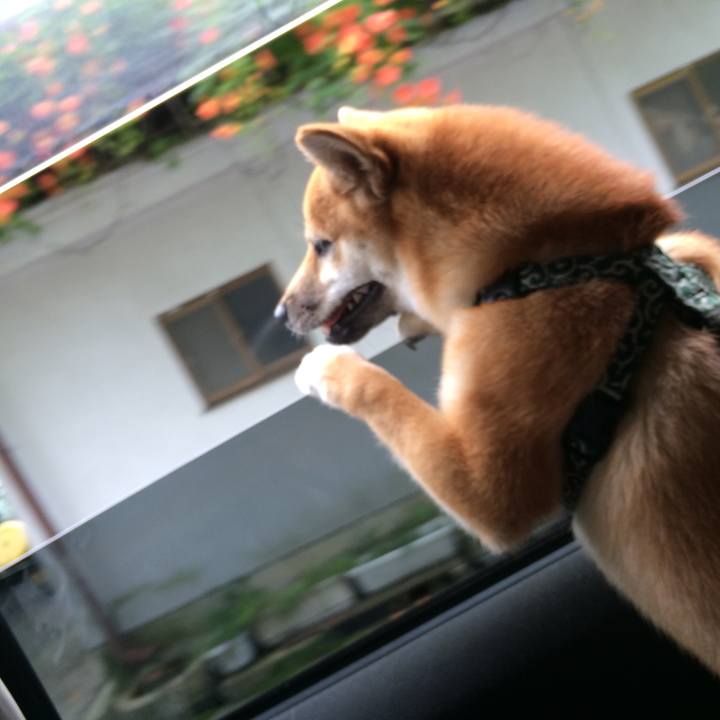 F85fd759 1009 446b a219 eb7f50b5f31b