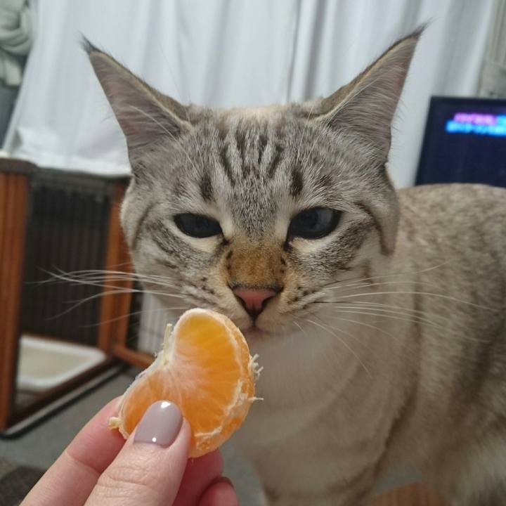 F8602a4d 363a 433a 9688 65a1704b2370