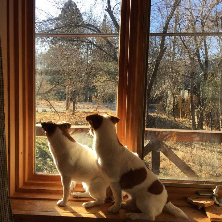 F8608dd7 84cb 49df a145 00d088f1af0f