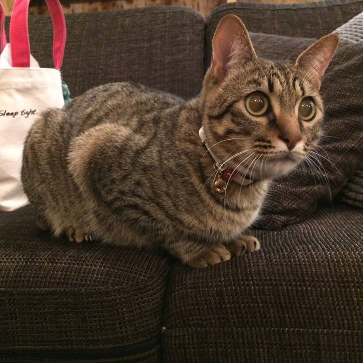 F860b716 ad3e 4972 b68c fa1fee72e425