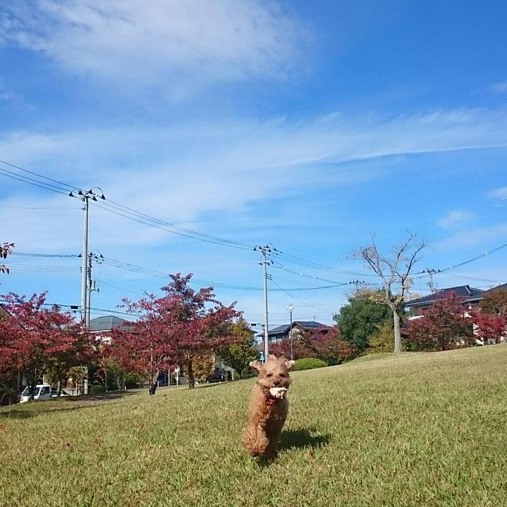 F860c51b 8fc4 4c0e a35c 8ddf233c47af