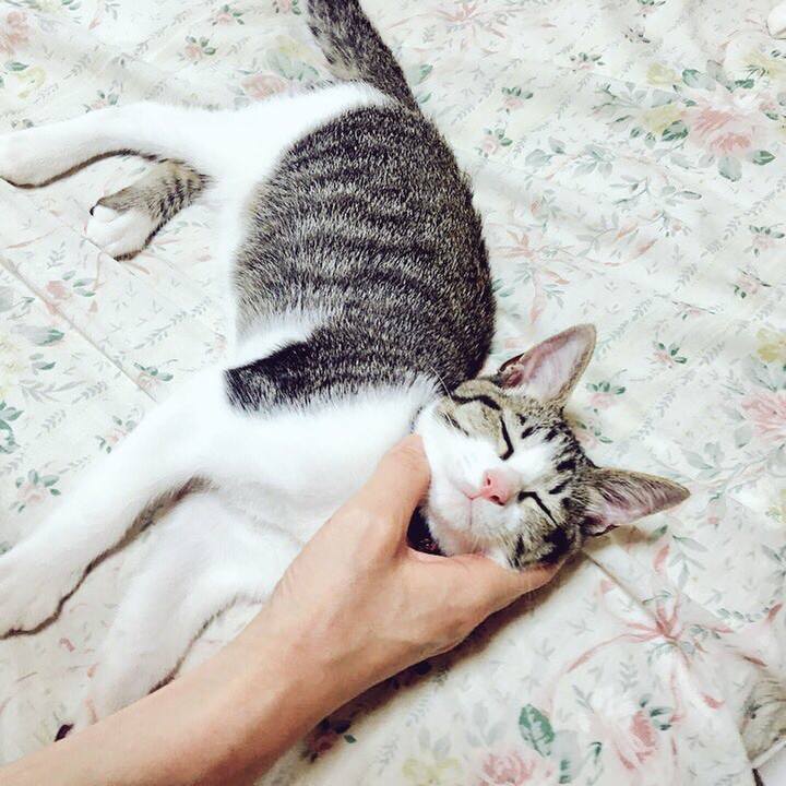 F8619774 8363 42e7 bd1a a7500af5b104