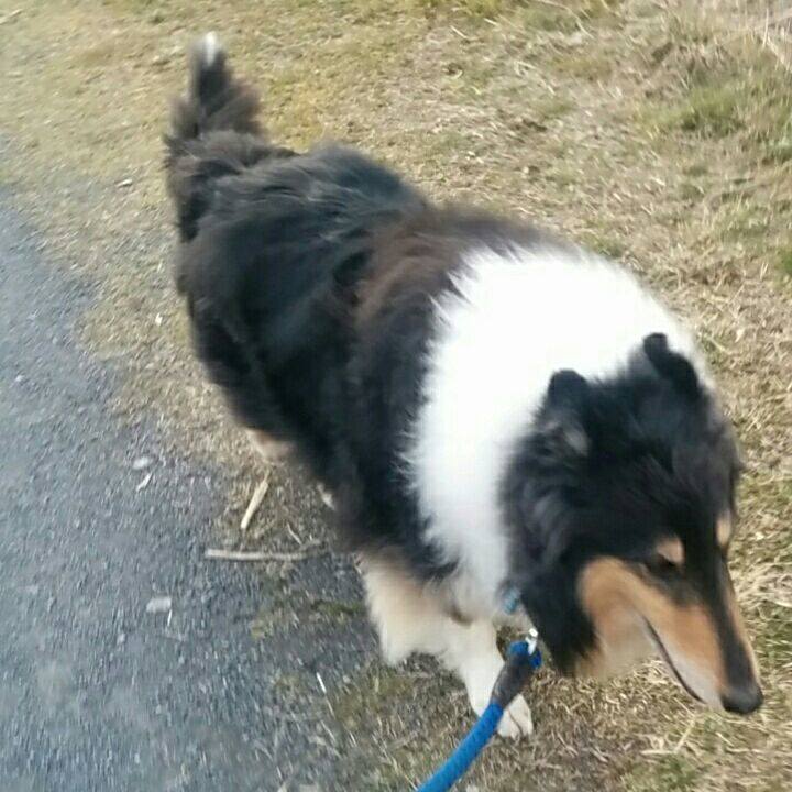 F86269e3 2c2a 4a7f 8942 f466fc5e1f3d