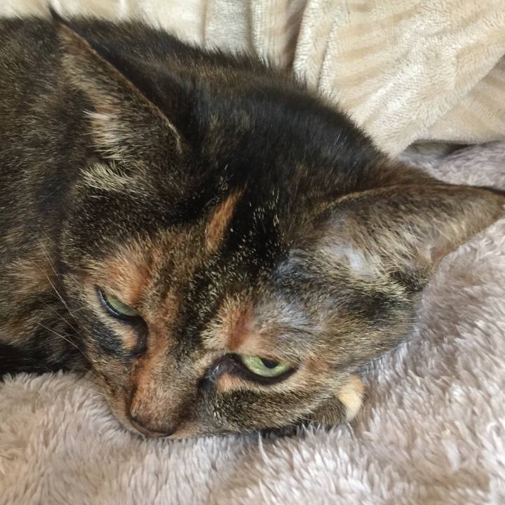 F8628b6a f632 475b 82bf e1d28d5a9203