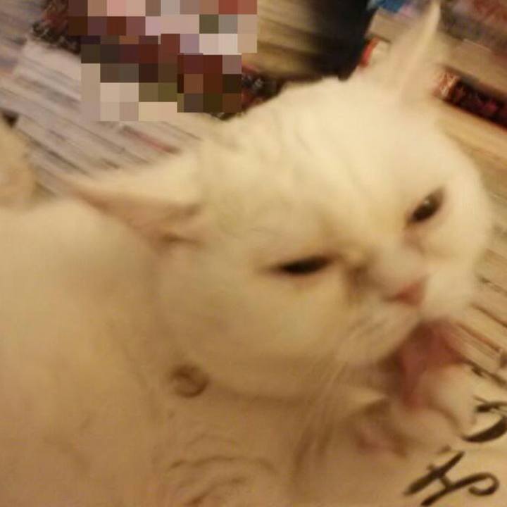 F86324aa 200e 44b4 8785 1f1f2c2986a0