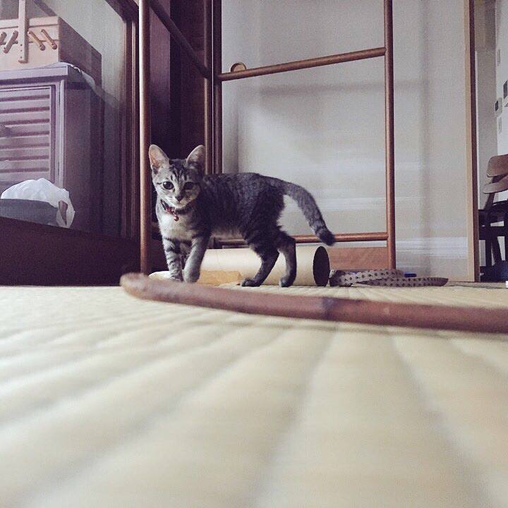 F8649072 98d3 43f4 80bc 4e6984831be1