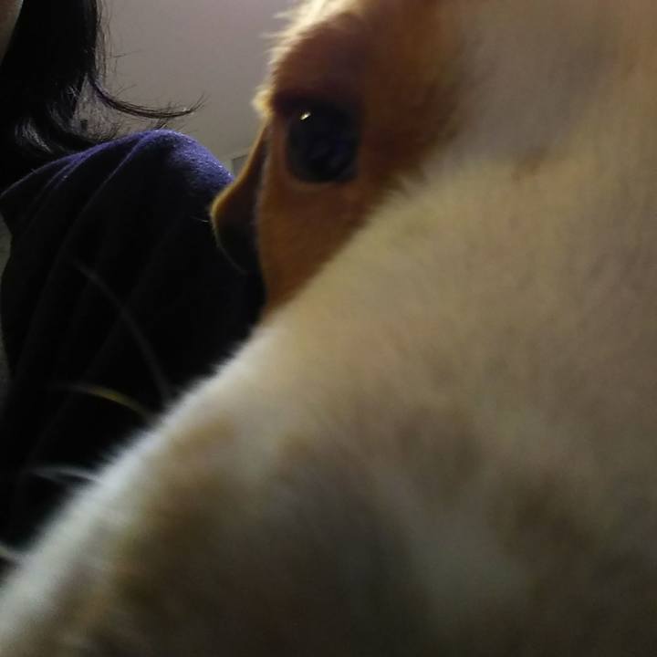 F864b3ec 9644 48fa 90c6 ca5ce338c5ff