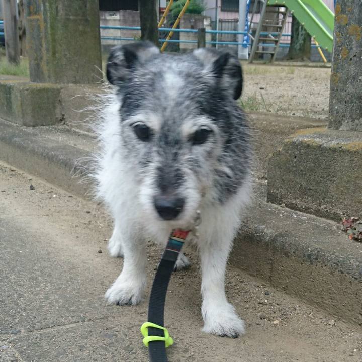 F864ed8c 54c6 4ceb bf08 f6bd773a7580