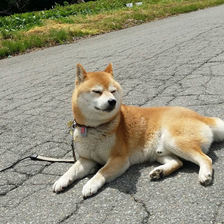 F864ee55 cdda 4c4e b5bd 1cb25ad0d8bf