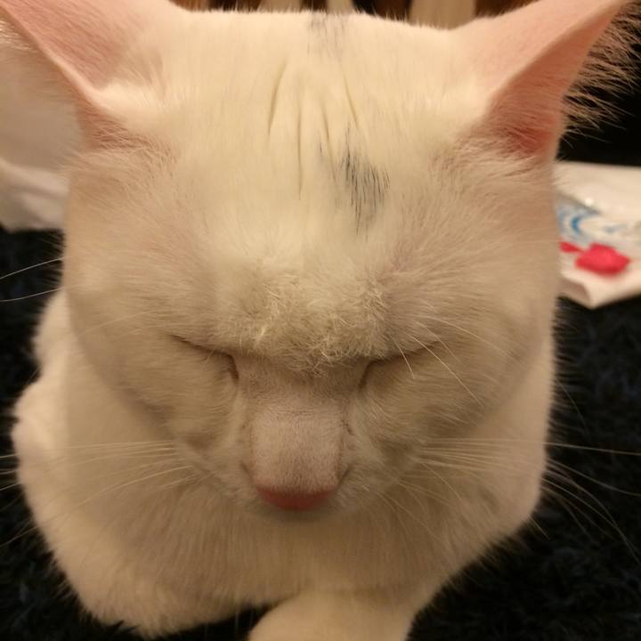 F865223e 6425 40fa abe8 65c6c1fc288e