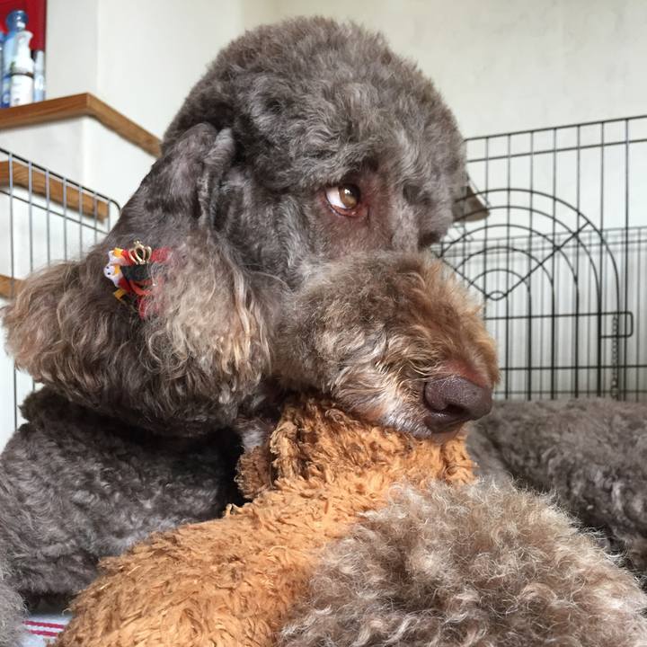 F865891c b0c7 4496 82bc cd77645f92a3