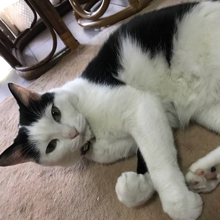 F8662128 fdd2 45cc b141 71033035dc26