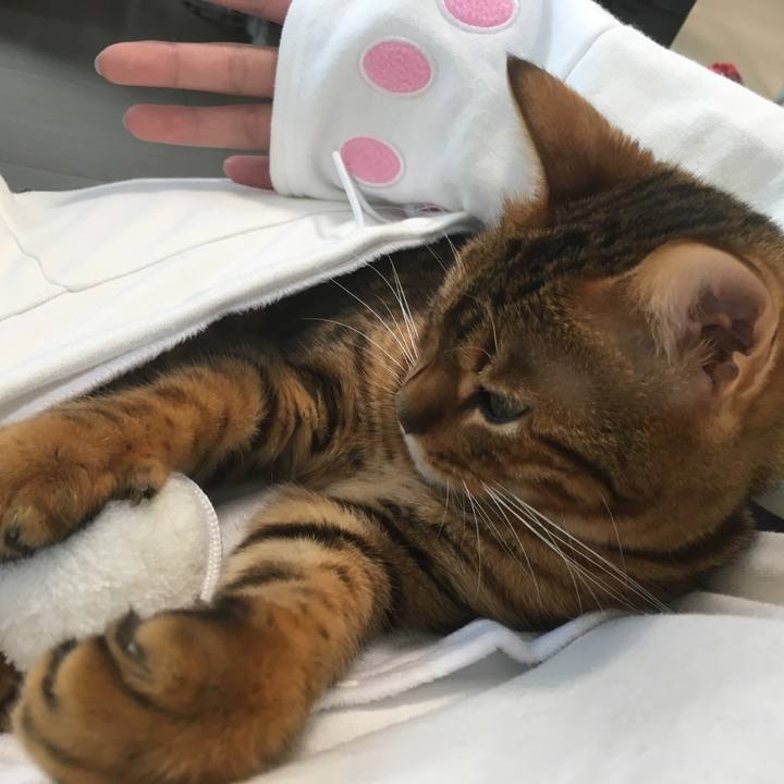 F86625b3 2f49 4989 bdf8 e3cd933863cd