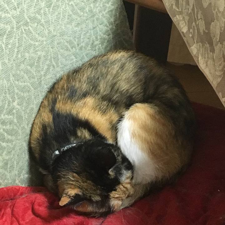 F86646d2 bfe4 4862 806c 2fef3e32c8d0