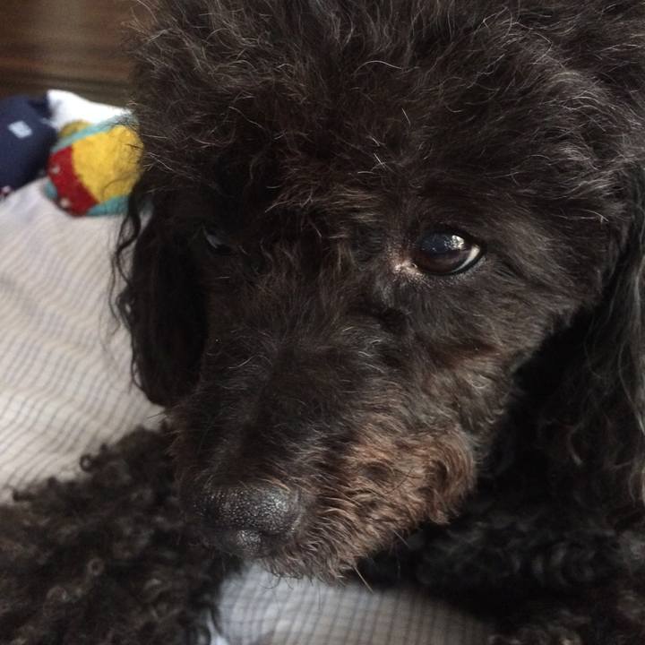 F866477f b78f 4edd aee4 a251a13f4750