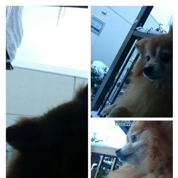 F866aaf7 34fe 4364 b0b7 d358f328d987