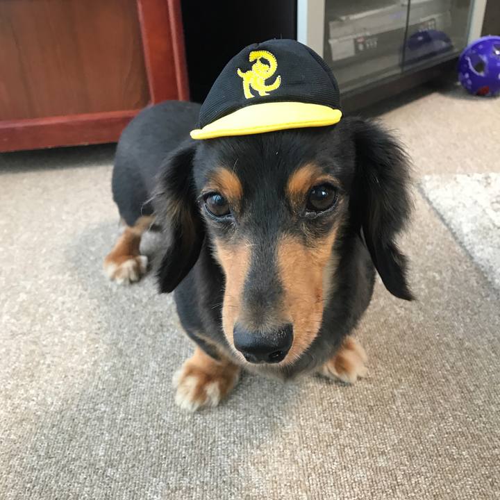 F86713c1 65fd 4c24 bad0 ba0f63127245