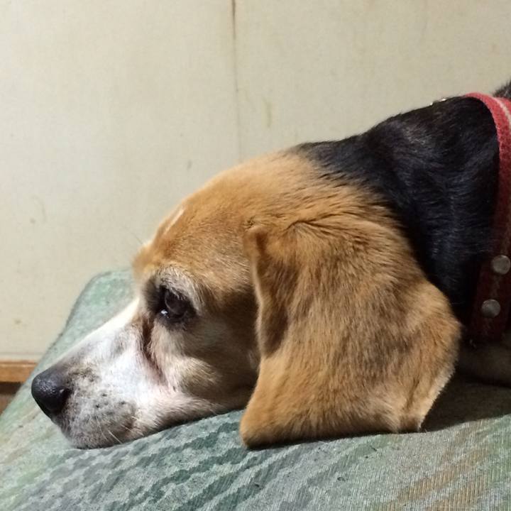 F8679560 fc1f 435f 9ee7 358c7b596bfb