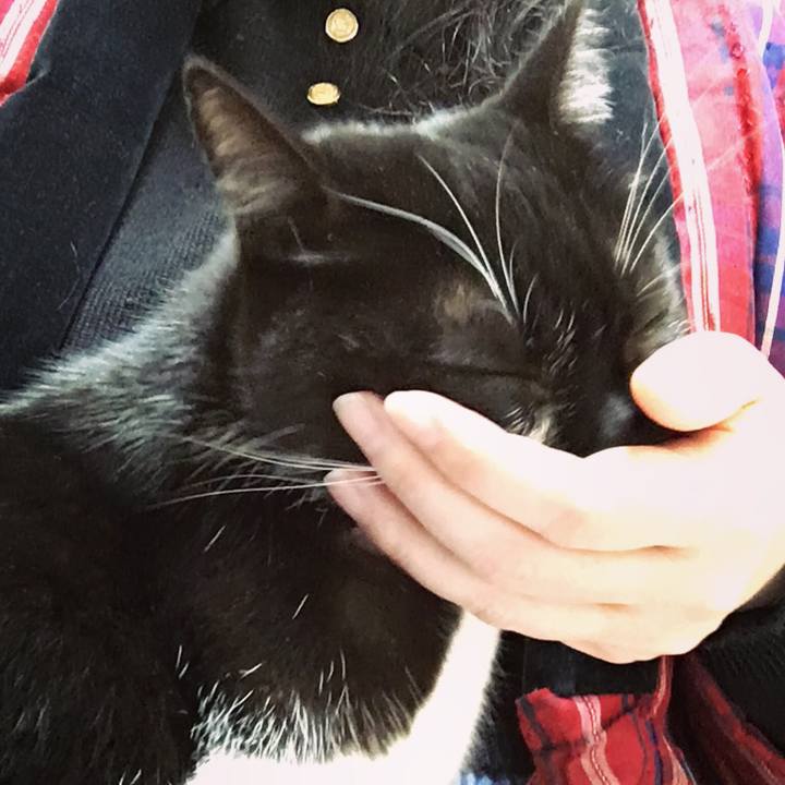 F8679e46 b1b5 4376 8f03 5b0161a83ee6