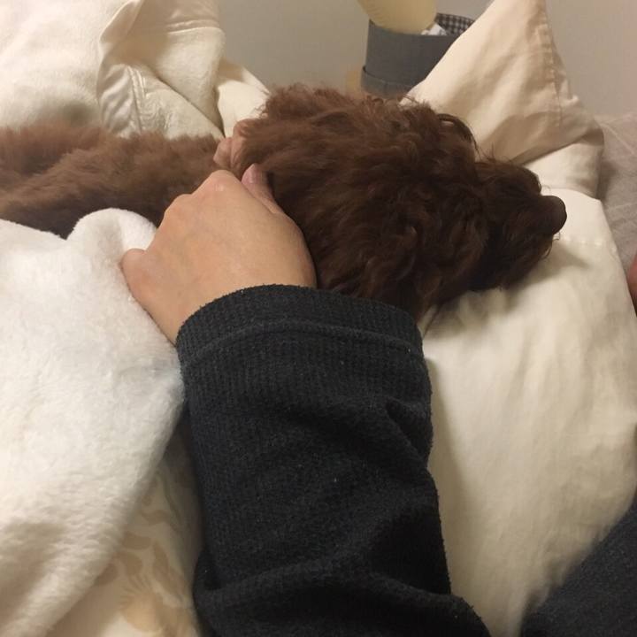 F867cd6e 68a2 4f2c affe 9a3b4bebb100