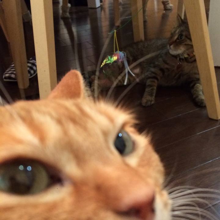 F868b0e3 fa15 4df9 9e51 a03fcea17d34