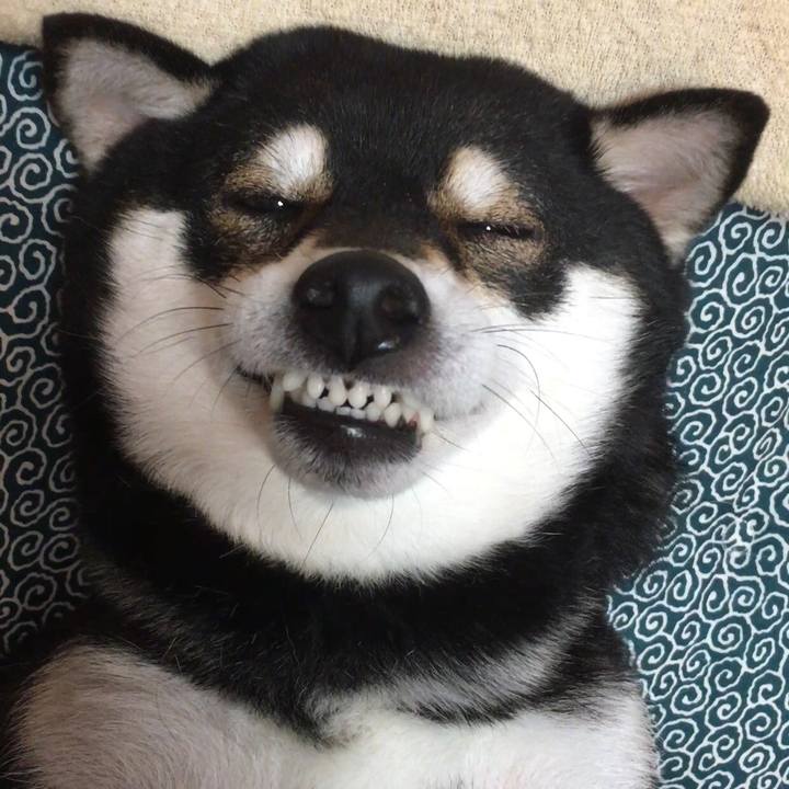 F868bdbc cc6f 4d92 b00a e959bae799df