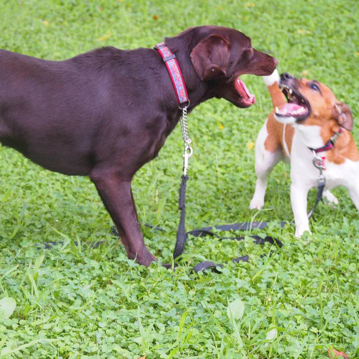 F869f3be 31c1 4626 881c 235d3924b80d