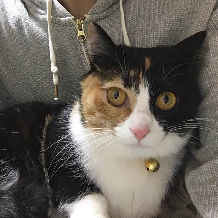 F86a334a a97b 4ecf 8481 ed9c88e58bf8