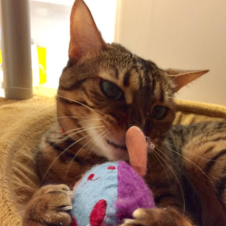 F86a9b74 7d95 4c4e 9060 6c33ca834a1d