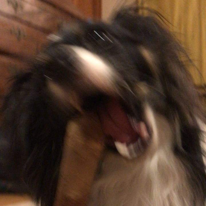 F86b28a3 31f1 437c ae16 2c91a4290ae7